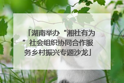 湖南举办“湘社有为”社会组织协同合作服务乡村振兴专题沙龙